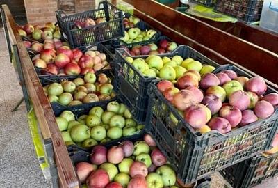 Casă cu 4 camere cu Garaj în Exterior Est - 19