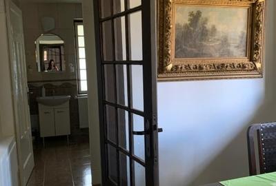 Apartament in vila cu arhitectura neoromaneasca + 917mp teren in curte amenajata - 5