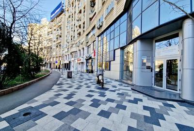 Birou/ Garsoniera Bd. Decebal- rond Alba Iulia Birou/ Garsoniera Bd. Decebal- rond Alba Iulia - 3