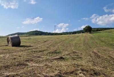 Spațiu comercial, în Aghireșu - 2