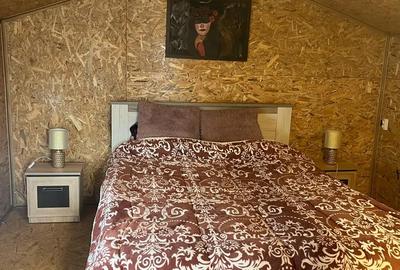 Casă în Pietroasa - 1