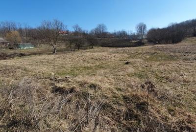 Teren agricol intravilan de 6000 mp, în Văculești - 3