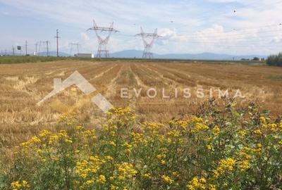 Teren agricol extravilan de 9300 mp, în Săcele - 2