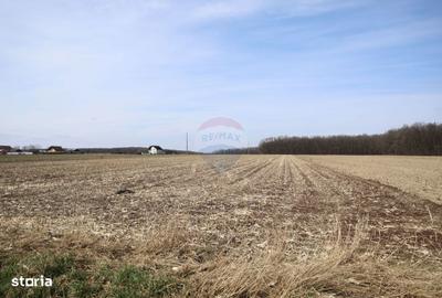 Spațiu comercial, în Bosanci - 7