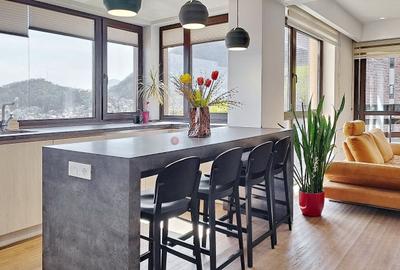 Priveliste Panoramica Spre Oras Si Masivul Tampa - 5