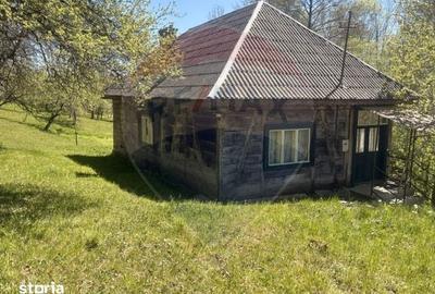 Casă cu 3 camere cu Teren 6039 Mp în Desești - 1