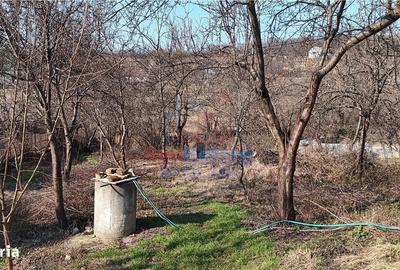 Spațiu comercial, în Cercu - 9