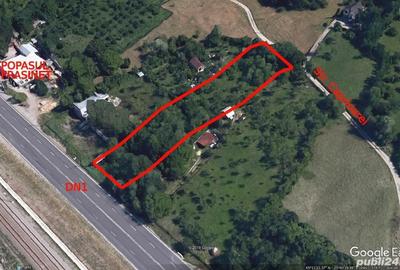 Teren de 2600 mp, în Frăsinet - 1
