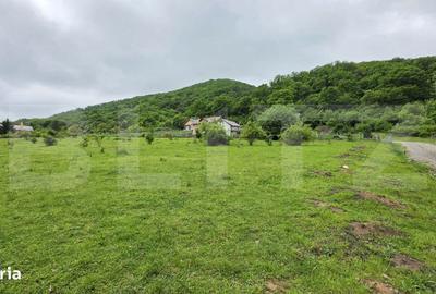 Spațiu comercial, în Sud - 2