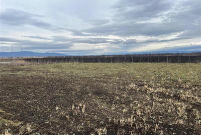 Teren intravilan de 3514 mp, în Exterior Est - 1