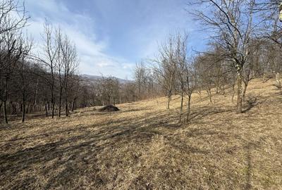 Teren Construcții intravilan de 2788 mp, în Central - 6