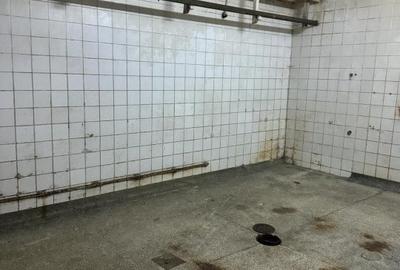 Spațiu comercial, de 380 mp, în Terezian - 11