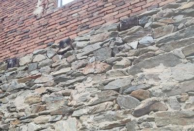 Casa de vanzare comuna Brusturi judet Arad - 2