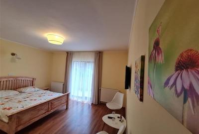 La intrare in Simon, Bran, pensiune turistica, constructie noua, vedere panorami - 16