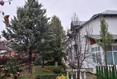 Casă cu 6 camere cu Teren 900 Mp în Pucioasa - 14