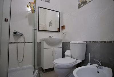 Garsonieră în Costin Georgian - 2