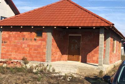 Casă cu 2 camere cu Teren 987 Mp în Peciu Nou - 3