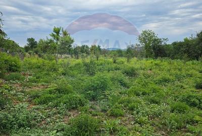 Comision 0! Casa din inima Subcarpaților — comuna Cislau, teren 5000mp - 20