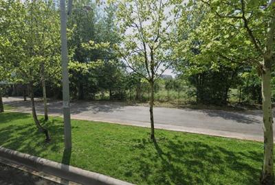 Teren Construcții intravilan de 8300 mp, în Theodor Pallady - 4