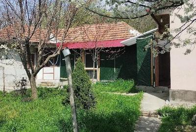 Casă cu 3 camere cu Teren 1650 Mp în Racovițeni - 3