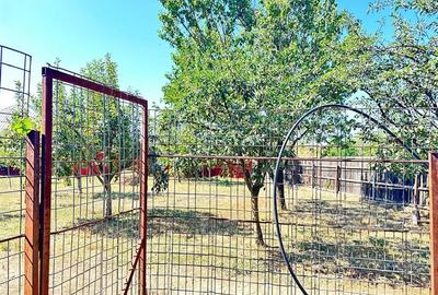 Casa si teren 3567 mp cu piscina, livada si helesteu  Corlatesti - 17