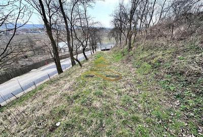 Teren Construcții intravilan de 11021 mp, în Blăgești - 3