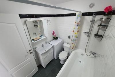 Apartament cu 2 camere semidecomandat, mobilat în Parcul Carol - 10