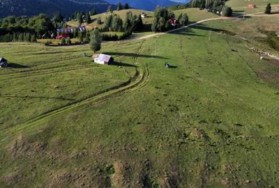 Teren de 1113 mp, în Paltin - 5