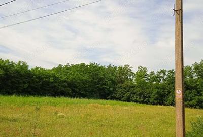 Teren de 1000 mp, în Valea Stânii - 2