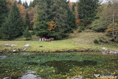 Teren în Zărnești - 8