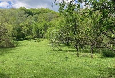 Izvoarele Valea Borului- Teren Intravilan de Vanzare- Comision 0% - 7