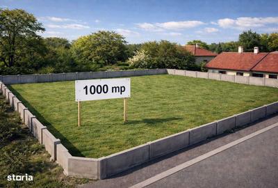 Spațiu comercial, în Iosia