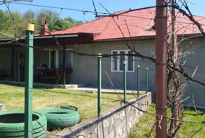Casă cu 4 camere cu Teren 1200 Mp în Posești - 20