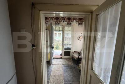 Casă cu 4 camere cu Teren 3000 Mp în Cășeiu - 14