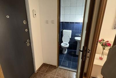 Garsonieră decomandată în Govândari - 7