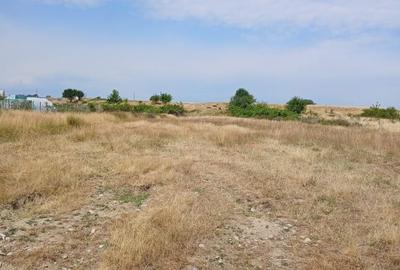 Spațiu comercial, în Cârțișoara - 2