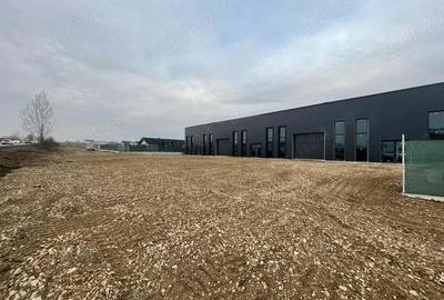 Spatiu Industrial, 912mp, Hala depozitare E85, Darmanesti. - 7