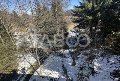 Teren extravilan 4600 mp cu acces la rau Satul de Vacanta Dejani - 5