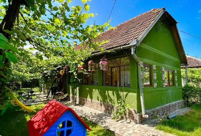 Direct proprietar vand casu?a superba la tara - 3