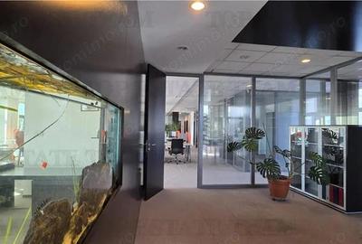 Splaiul Unirii - TImpuri Noi inchiriere spatiu birouri 7 locuri de parcare terasa - 12