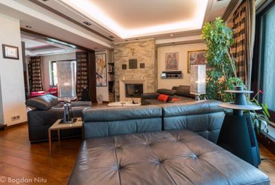Penthouse Extraordinar in Herastrau - 3