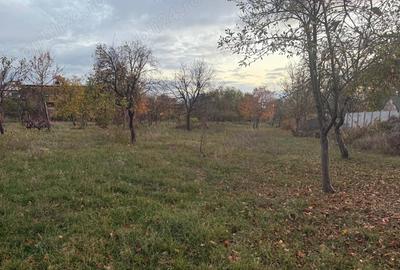 Proprietar !!!Ocazie casa cu teren 3850 mp - 3