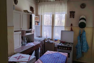 Apartament cu 3 camere decomandat în Jiu-Paroșeni - 1