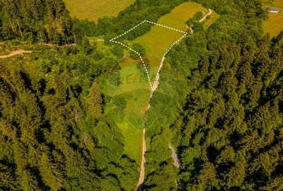 Teren Construcții intravilan de 7300 mp, în Brădet - 3