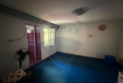 Casa de vanzare in  Constanta- Soseaua din Vii - 10