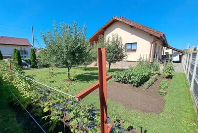 Casă cu 5 camere cu Teren 500 Mp în Șura Mare - 5