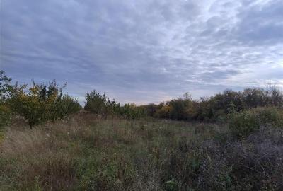 RECO Teren intravilan Miersig RECO Teren intravilan Miersig - 1