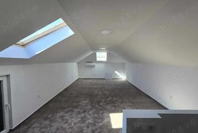 Casă cu 7 camere în Nufărul