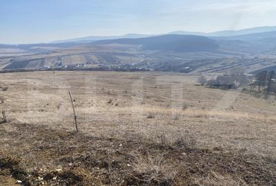 Teren extravilan in suprafata de 140551 mp in loc. Recea - 10