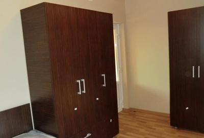 Apartament cu o camera Buziasului Apartament cu o camera Buziasului - 7